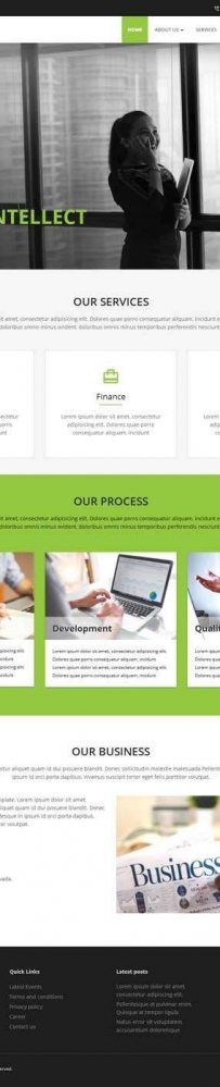 绿色的商业服务咨询网站通用模板